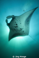 GLIDER by Jörg Menge 
